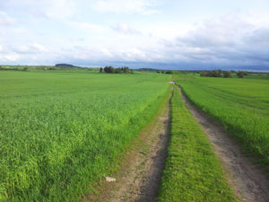 Per Auto Bus oder Eisenbahn ins Boitzenburger Land