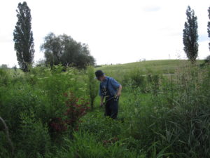 Ohne die Sense ist kein durchkommen mehr