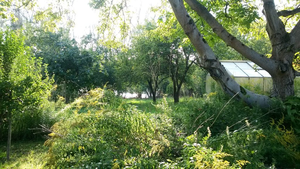 Uckermark Ferienhaus Garten mit Blick auf Sölle