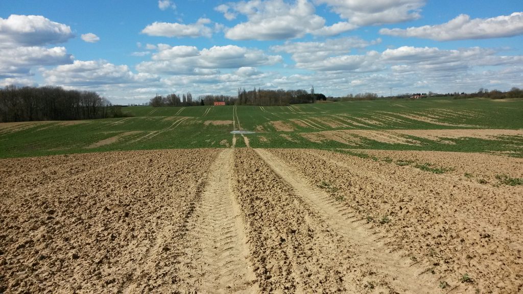 Wege übers Land führen zum Ferienhaus Uckermark im Boitzenburger Land