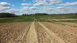 Wege übers Land führen zum Ferienhaus Uckermark im Boitzenburger Land