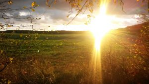 Im Ferienhaus Uckermark kann man viele Tage mit solchen Sonnenuntergängen im Boitzenburger Land rechnen