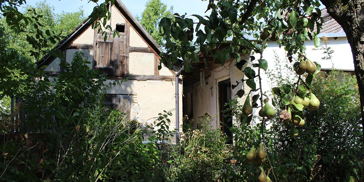 Das Ferienhaus-Uckermark Der Eingang, Ferien im Boitzenburger Land schon ab 29,- Euro pro Tag