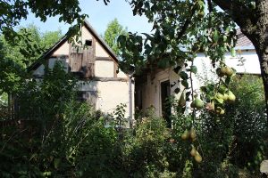 Das Ferienhaus-Uckermark Der Eingang, Ferien im Boitzenburger Land schon ab 29,- Euro pro Tag