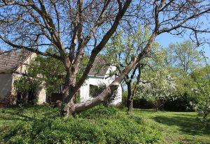 Das Ferienhaus-Uckermark Die Ruhe vor dem Sturm im Boitzenburger Land schon ab 29,- Euro pro Tag