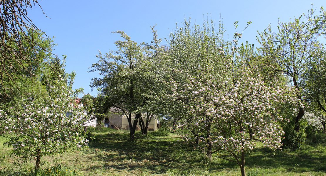 Das Ferienhaus-Uckermark Der Garten, Ferien im Boitzenburger Land schon ab 29,- Euro pro Tag