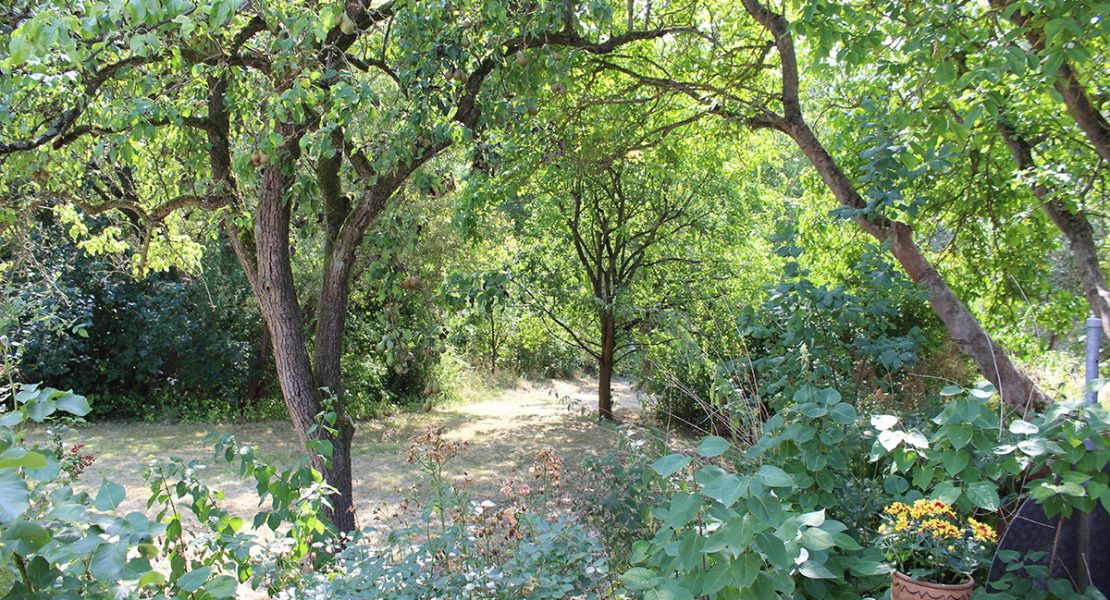 Das Ferienhaus-Uckermark Einfach mal nur im Garten rumsitzen und Entsopannen, Urlaub im Boitzenburger Land schon ab 29,- Euro pro Tag