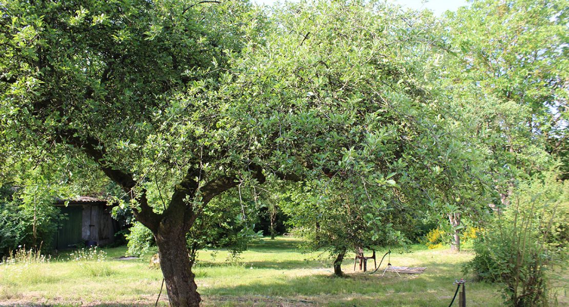 Das Ferienhaus-Uckermark Garten, Solardusche und Werkstatt. Alles da im Boitzenburger Land schon ab 29,- Euro pro Tag
