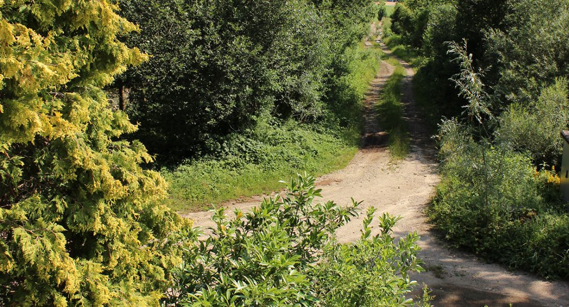 Das Ferienhaus-Uckermark Garten, mit weiten Wegen ins Boitzenburger Land schon ab 29,- Euro pro Tag