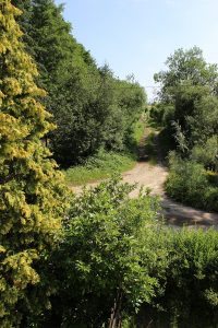 Das Ferienhaus-Uckermark Garten, mit weiten Wegen ins Boitzenburger Land schon ab 29,- Euro pro Tag