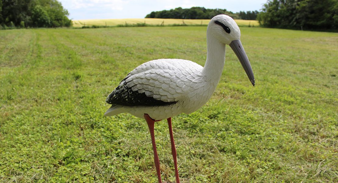 Das Ferienhaus-Uckermark Ferien und Urlaub mit dem Storch wohl im Boitzenburger Land schon ab 29,- Euro pro Tag